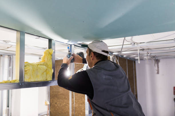 Best Insulation Contractor Near Me  in Grass Valley, CA