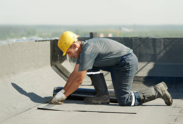 Best Insulation Replacement Services  in Grass Valley, CA